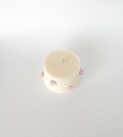 Shell Soy Candles